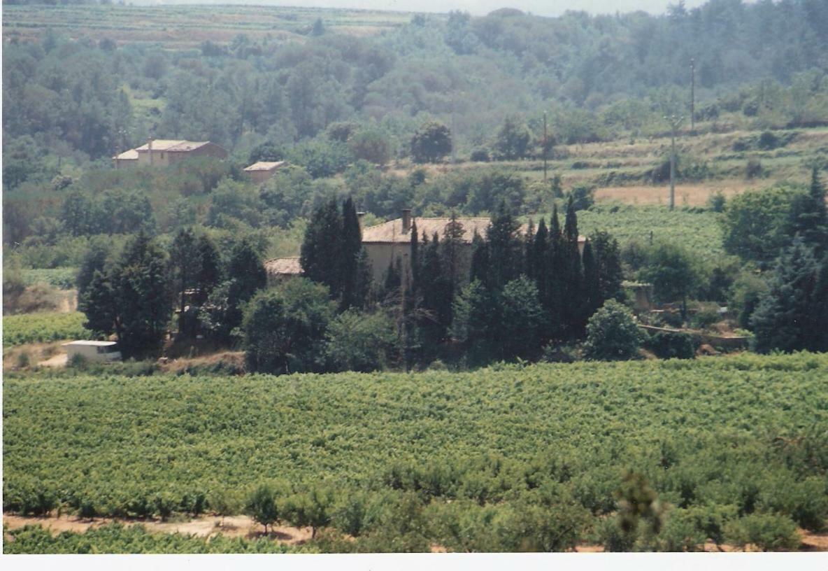 Domaine Chanoine Rambert Saint-Andre-d'Olerargues Екстериор снимка